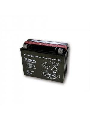 [291-227] Batteri YTX 24HL-BS